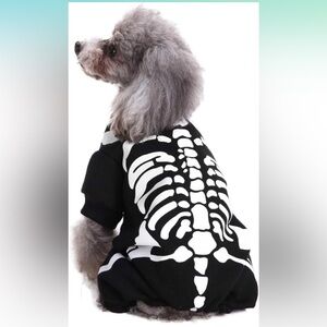 Medium Dog Costume